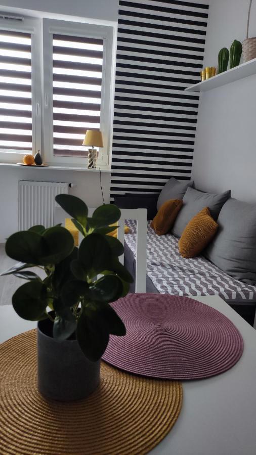 פלוק Apartament 60 מראה חיצוני תמונה